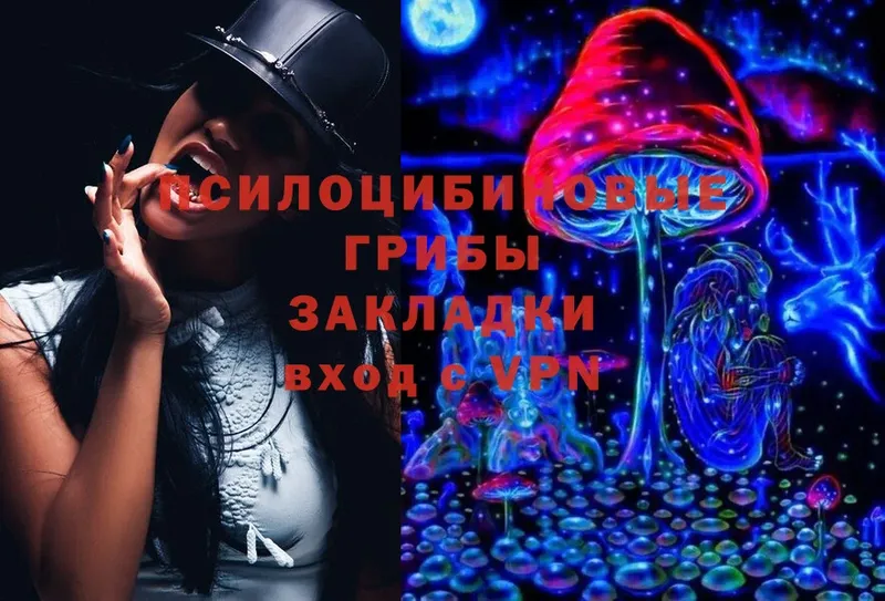 Галлюциногенные грибы Magic Shrooms  где можно купить   Голицыно 